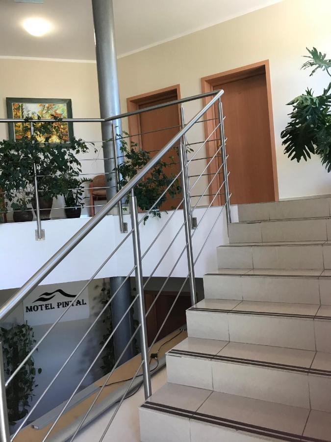 Motel Pintal Гожув-Велькопольски Экстерьер фото